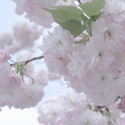 Furry萌系风格设计技巧Furry群